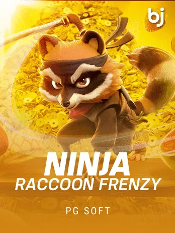 Ninja Raccoon Frenzy